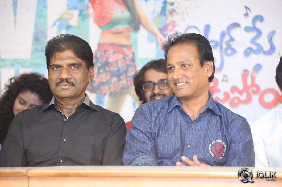 Pyaar-Mein-Padipoyane-Movie-Success-Meet